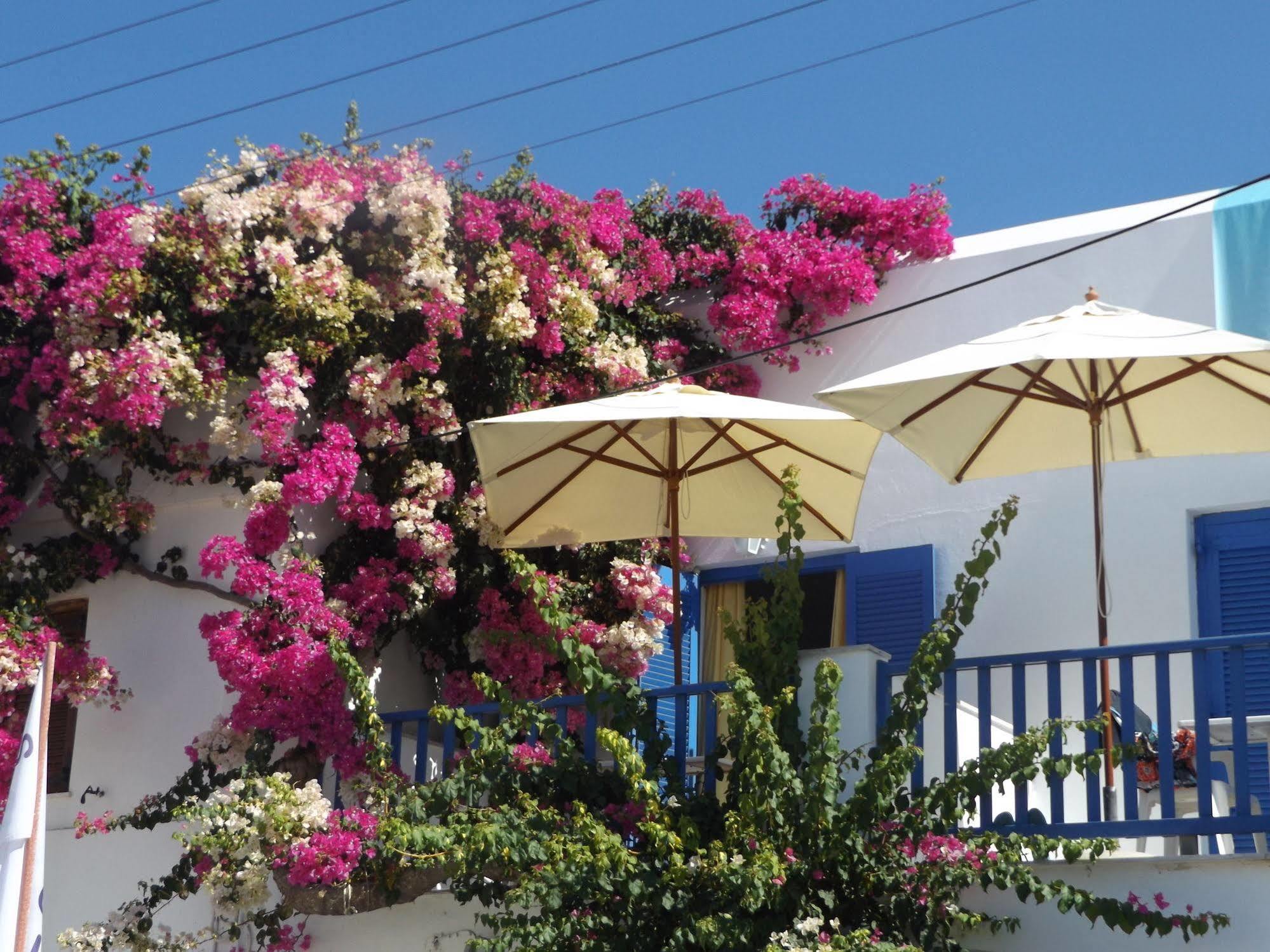 Stergia Hotel Parikia  Exterior photo